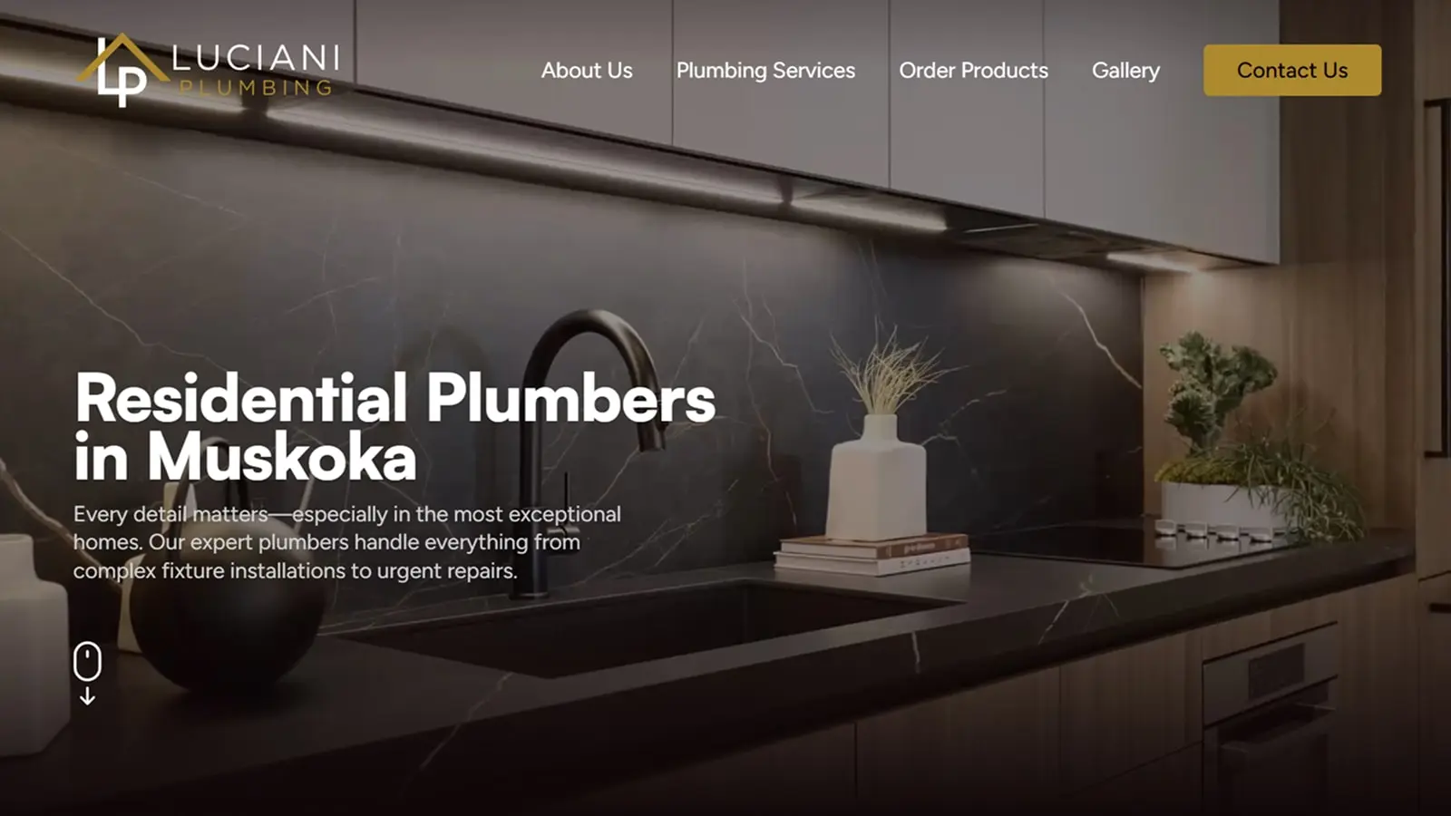 Luciani Plumbing website screenshot
